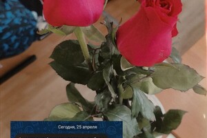 Авдеенко Анастасия Александровна — Портфолио №7