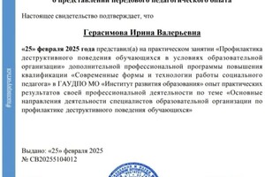 Герасимова Ирина Валерьевна — Диплом / сертификат №7
