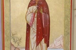 Семеновых Мария Николаевна — Портфолио №13