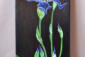 Семеновых Мария Николаевна — Портфолио №9