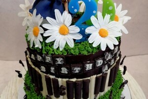 Смирнова Элина Юрьевна — Торт Алиса — Портфолио №15