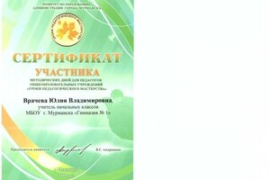 Диплом / сертификат №5 — Врачева Юлия Владиславовна