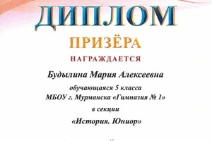 Диплом / сертификат №8 — Врачева Юлия Владиславовна