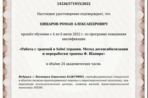 Диплом / сертификат №21 — Цицаров Роман Александрович