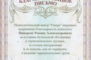 Диплом / сертификат №24 — Цицаров Роман Александрович