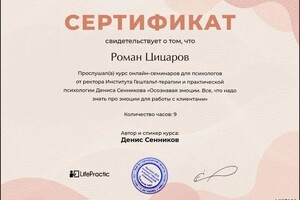 Диплом / сертификат №29 — Цицаров Роман Александрович