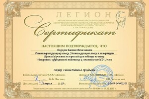 Сертификат участника вебинара Алгоритмы эффективной подготовки к сочинению на ОГЭ (2019 г.) — Елсукова Евгения Вячеславовна