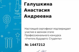 Диплом / сертификат №13 — Галушкина Анастасия Андреевна