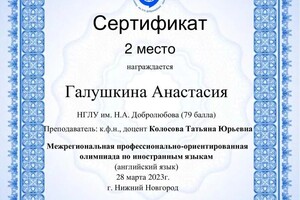 Диплом / сертификат №3 — Галушкина Анастасия Андреевна