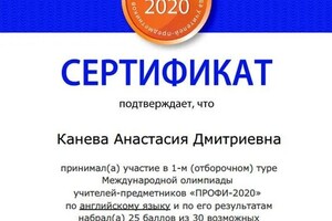 Диплом / сертификат №591 — Канева Анастасия Дмитриевна