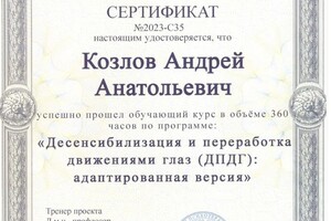 Диплом / сертификат №17 — Козлов Андрей Анатольевич