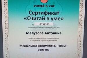 Обучение ментальной арифметике детей от 5 лет. — Мелузова Антонина Вячеславовна