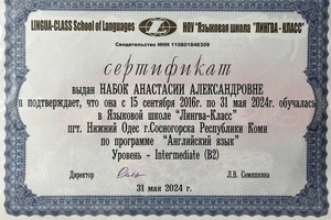 Диплом / сертификат №1 — Набок Анастасия Александровна