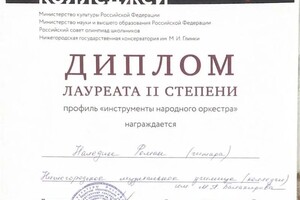 Диплом / сертификат №3 — Наледин Роман Александрович