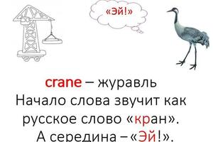 Как учить английские слова — Рогова Ольга Геннадьевна