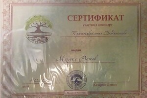 Диплом / сертификат №2 — Рыжов Михаил Сергеевич