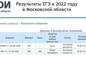 100 баллов, русский язык. Подольск — Серебрич Ольга Александровна