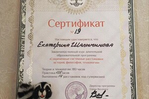 Диплом / сертификат №3 — Шалыминова Екатерина Васильевна