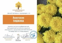 Диплом / сертификат №4 — Тишкина Анастасия Юрьевна