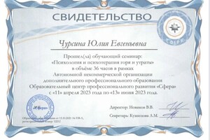 Диплом / сертификат №2 — Чурсина Юлия Евгеньевна