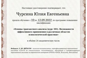 Диплом / сертификат №3 — Чурсина Юлия Евгеньевна