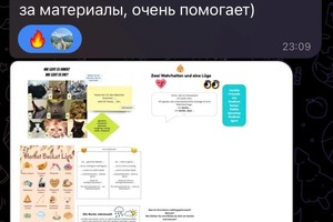 Отзыв преподавателя на консультацию по Миро — Голобокова Анастасия Вячеславовна