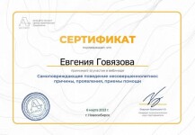 Диплом / сертификат №15 — Говязова Евгения Николаевна