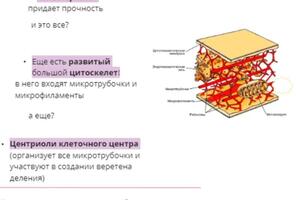 Портфолио №13 — Иванова Екатерина Ильинична