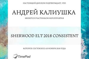 Сертификат участника мероприятия для учителей английского языка — Калиушка Андрей Сергеевич