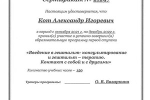 Диплом / сертификат №10 — Кот Александр Игоревич