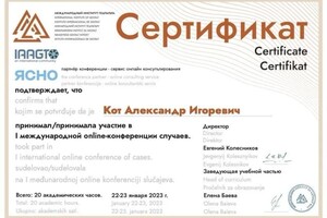 Диплом / сертификат №9 — Кот Александр Игоревич