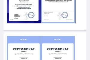 Диплом / сертификат №5 — Крылова Наталья Валентиновна