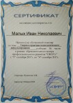 Диплом / сертификат №6 — Малых Иван Николаевич