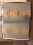  Направление лингвистика , специализация перевод . Репетитор с 2010 года — Николаева Ирина Фёдоровна