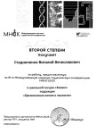 Диплом / сертификат №5 — Стадниченко Виталий Вячеславович