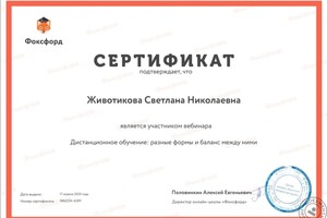 Повышение качества обучения — Животикова Светлана Николаевна