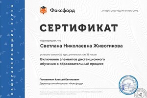 Преподавание физики — Животикова Светлана Николаевна