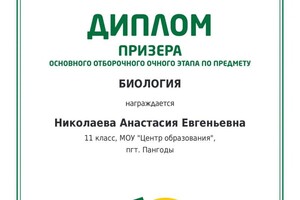 Диплом / сертификат №3 — Николаева Анастасия Евгеньевна