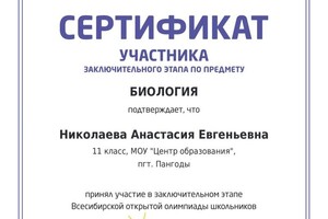 Диплом / сертификат №4 — Николаева Анастасия Евгеньевна