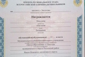 Диплом / сертификат №5 — Николаева Анастасия Евгеньевна