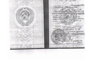 Диплом / сертификат №2 — Понамарёва Снежана Васильевна