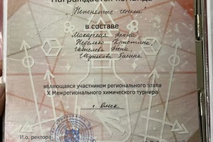 Диплом / сертификат №3 — Шунькова Полина Сергеевна
