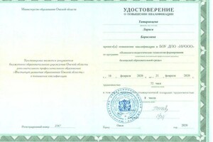 Диплом / сертификат №4 — Татаринцева Лариса Борисовна