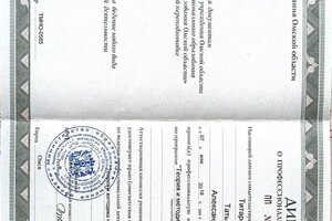 Диплом / сертификат №1 — Титаренко Татьяна Александровна