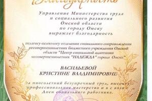Благодарность — Васильева Кристина Владимировна