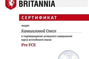Диплом / сертификат №1 — Камшилова Олеся Дмитриевна