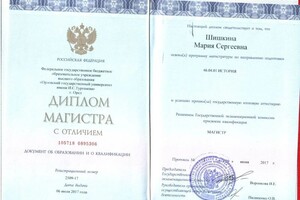 Диплом / сертификат №41 — Шишкина Мария Сергеевна