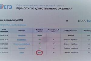 результаты ЕГЭ 2020 — Мухина Елена Станиславовна