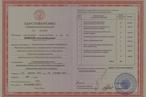 Диплом / сертификат №15 — Брюхов Алексей Игоревич