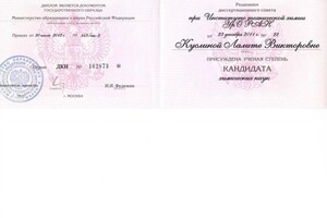 Диплом / сертификат №4 — Чуб Лалита Викторовна